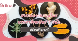 herbal-extracts-relieve-heat-flashes