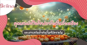 isoflavones-in-soybeans-sea-buckthorn