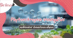 phytoestrogen-reduces-heat-flashes